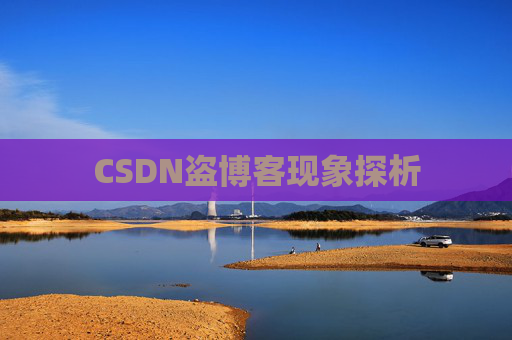 CSDN盗博客现象探析 CSDN盗博客现象探析